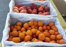 Seasonal-fruit-at-Market