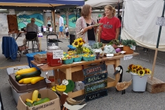 Zuchinni-and-Sunflowers-at-Market